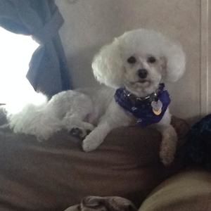 Meet your Posher, Judy